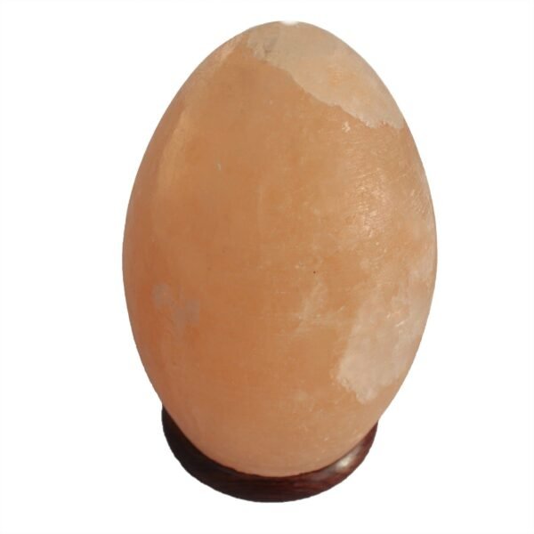 Ancient Wisdom Himalayan Salt Wooden Base Egg Shaped Lamp