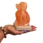 Ancient Wisdom Dog Shaped Multicolour USB Himalayan Salt Lamp - Image 3