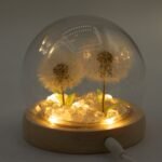 Ancient Wisdom LED Floral Glow Garden Dome Light – 2 Dandelions - Image 2