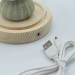 Ancient Wisdom LED Floral Glow Garden Dome Light – 3 Sea Urchins - Image 4