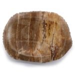 Ancient Wisdom Brown Petrified Wood Soap Dish - Image 2