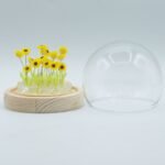 Ancient Wisdom LED Floral Glow Garden Dome Light – 20 Sunflowers - Image 6