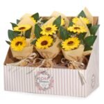 Ancient Wisdom Two Soap Sunflower Bouquet - Image 7