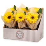 Ancient Wisdom Single Soap Sunflower - Image 3