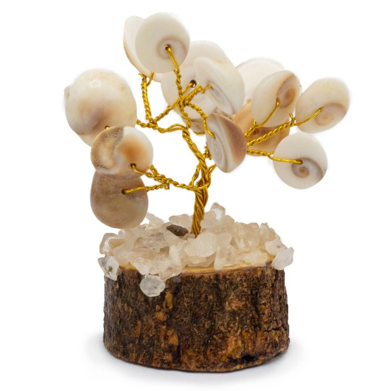 GCC-04 Ancient Wisdom 15 Stones Small Gomati Chakra Circle Stone Tree with Rudraksha Ancient Wisdom 15 Stones Small Gomati Chakra Circle Stone Tree with Rudraksha - Image 1
