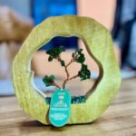 Ancient Wisdom 60 Chipstones Mango Wood Ring Gemstone Tree Garden – Green Aventurine