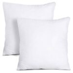 Ancient Wisdom PET Fibre 700gm Inner Cushion (60x60cm)