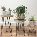 Ancient Wisdom Set of 3 Greenwash Gamal Wood Plant Stands - Image 3