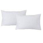 Ancient Wisdom PET Fibre 650gm Inner Cushion (75x50cm)