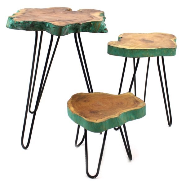 Ancient Wisdom Set of 3 Greenwash Gamal Wood Plant Stands