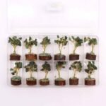 Ancient Wisdom Mini Green Aventurine Gemstone Tree (15 Stones) On Wooden Base - Image 6