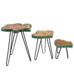 Ancient Wisdom Set of 3 Greenwash Gamal Wood Plant Stands - Image 6