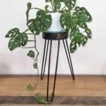 Ancient Wisdom Albasia Wood Plant Stand – Turquoise & Gold Detail - Image 4