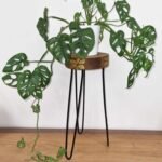 Ancient Wisdom Albasia Wood Plant Stand - Natural & Gold Detail - Image 2