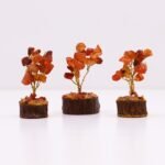 Ancient Wisdom Mini Carnelian Gemstone Tree (15 Stones) On Wooden Base - Image 5