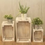Ancient Wisdom Set of 3 Whitewash Wooden Storage Crates - Image 8