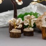 Ancient Wisdom 15 Stones Small Gomati Chakra Circle Stone Tree with Rudraksha - Image 3