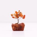 Ancient Wisdom Mini Carnelian Gemstone Tree (15 Stones) On Orgonite Base - Image 4