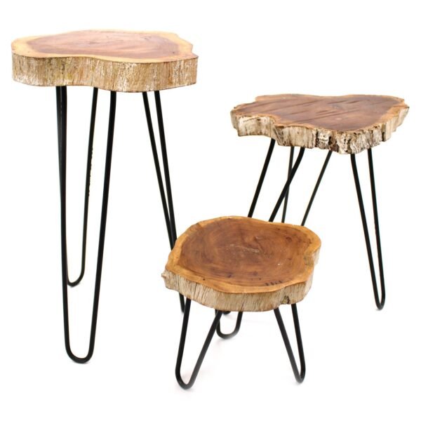 Ancient Wisdom Set of 3 Whitewash Gamal Wood Plant Stands
