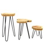 Ancient Wisdom Set of 3 Natural Gamal Wood Plant Stands - Image 6