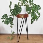 Ancient Wisdom Albasia Wood Plant Stand – Whitewash - Image 4