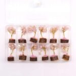 Ancient Wisdom Mini Rose Quartz Gemstone Tree (15 Stones) On Wooden Base - Image 6