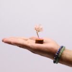 Ancient Wisdom Mini Rose Quartz Gemstone Tree (15 Stones) On Wooden Base - Image 4