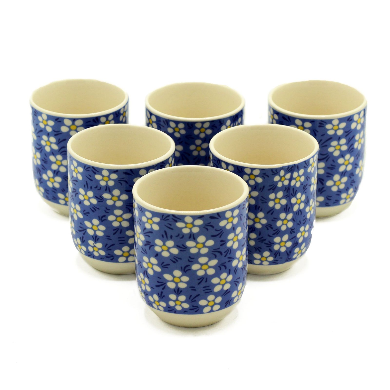 bG9jYWw6Ly9tZWRpYS9TUy9DRC82MFIzMEMxRzZXUktDRFNTL2FhNmNkMGFhLmpwZWc.jpg Ancient Wisdom Set of 6 Ceramic Herbal Tea Cups - Blue Daisey - Image 1