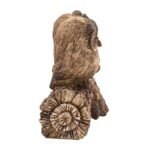 Country Living Resin Wood Effect Rustic 2 Owls On A Branch Figurine - Image 4