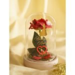 Disney: Belle Pastel Princess Florals In A Cloche With Neon Light - Image 2