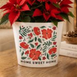 Personalised Christmas Poinsettia Design Large Ceramic Indoor Plant Pot