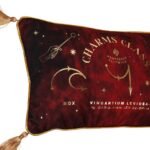 Harry Potter Alumni Velvet Cushion (50 x 30cm) - Charms Class - Image 3