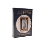Harry Potter Alumni 4" x 6" Portrait Gold Resin Photo Frame - Hedwig - Image 5