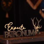 Harry Potter 'Expecto Patronum' Alumni Wooden Spell Sign - Image 2