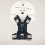 PAW Extra Small (2-4Kg) Dog Step-in Guardian Harness with Reflective Mesh (Rock Grey) – Black Obsidian Charm