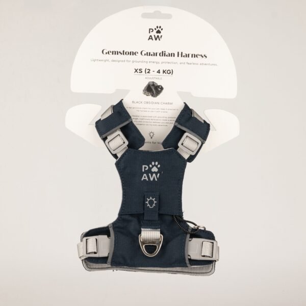 PAW Extra Small (2-4Kg) Dog Step-in Guardian Harness with Reflective Mesh (Rock Grey) – Black Obsidian Charm