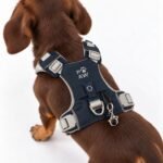 PAW Extra Small (2-4Kg) Dog Step-in Guardian Harness with Reflective Mesh (Rock Grey) – Black Obsidian Charm - Image 8