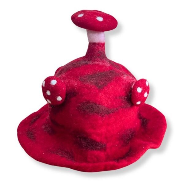 Ancient Wisdom Rush To The Head Red Felted Mushroom Hat