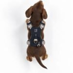 PAW Extra Small (2-4Kg) Dog Step-in Guardian Harness with Reflective Mesh (Rock Grey) – Black Obsidian Charm - Image 9