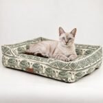 PAW Lucky Elephant Design Cream & Green Pet Bed (60 × 50 × 14cm) - Image 9