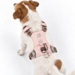 PAW Small (4-8Kg) Dog Step-in Guardian Harness with Reflective Mesh (Pink) – Rose Quartz Charm - Image 10