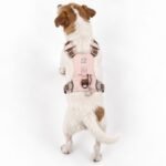 PAW Small (4-8Kg) Dog Step-in Guardian Harness with Reflective Mesh (Pink) – Rose Quartz Charm - Image 11