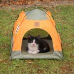 PAW Green & Orange Pet Bed Tent (48 × 48 × 40cm) - Image 9