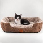 PAW Small Plush Teddy Brown Pet Bed (60 × 45 × 17cm) - Image 7