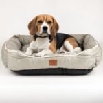 PAW Medium Khaki & Beige Pet Bed (70 × 60 × 15cm)