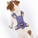 PAW Small (4-8Kg) Dog Step-in Guardian Harness with Reflective Mesh (Lavender) - Amethyst Charm - Image 10