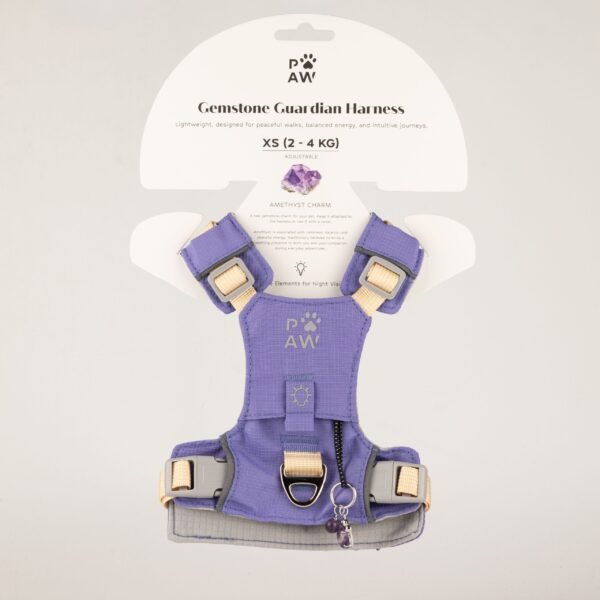 PAW Extra Small (2-4Kg) Dog Step-in Guardian Harness with Reflective Mesh (Lavender) – Amethyst Charm