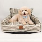 PAW Medium Brown Stripe Design Sofa Style Pet Bed (60 × 60 × 28cm)