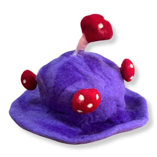 Ancient Wisdom Dreamy Purple Haze Felted Mushroom Hat