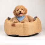 PAW Medium Royal Crown Sand & Grey Pet Bed (50 × 50 × 26cm)